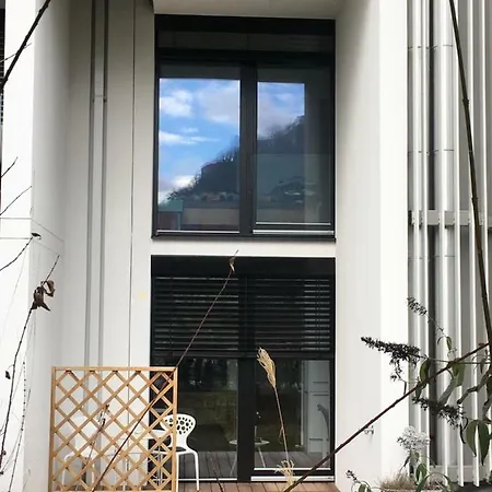 Cosy Splendor / Center *