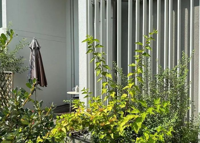 Cosy Splendor / Center 그라츠